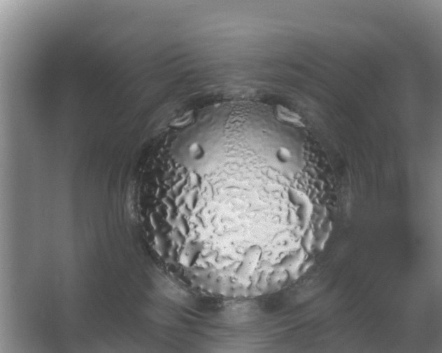 X0000062640185200512281631