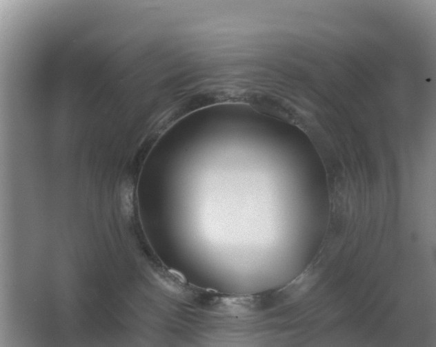 X0000062640188200512281631