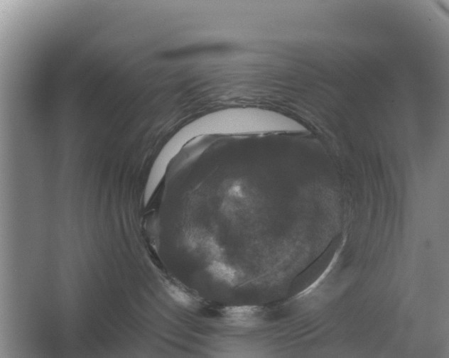 X0000062640192200512281631