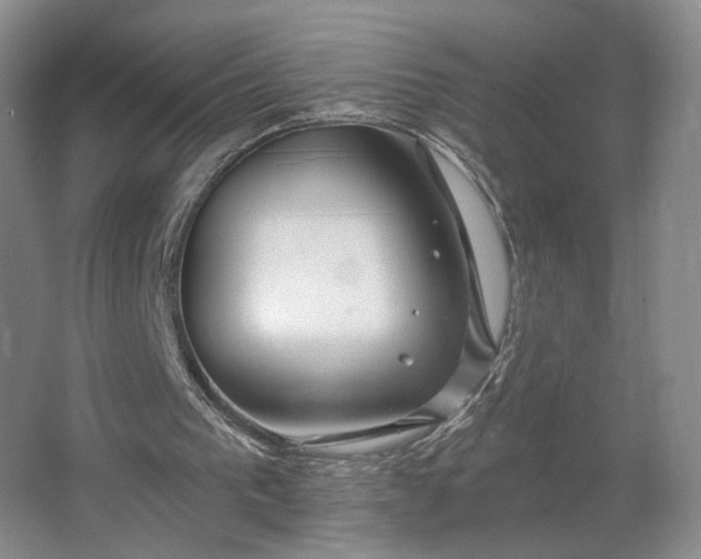 X0000062640193200512281630