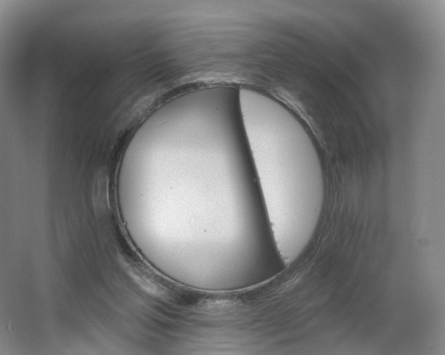 X0000062640205200512281630