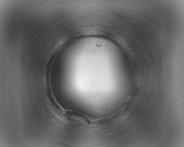 X0000062640207200512281630