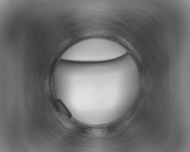 X0000062640209200512281630