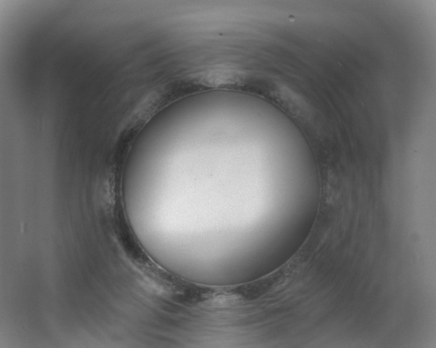 X0000062640210200512281630