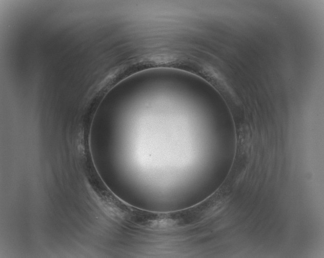 X0000062640212200512281630
