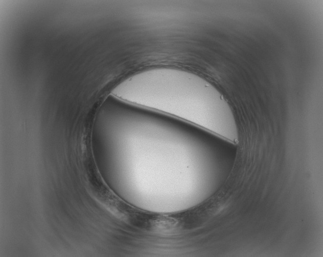 X0000062640215200512281630
