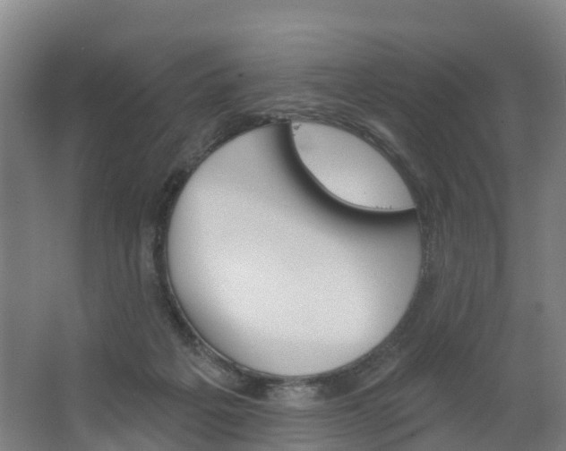 X0000062640217200512281630