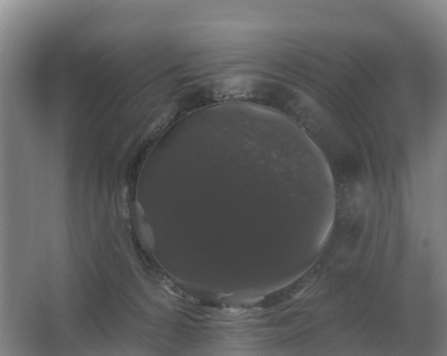 X0000062640224200512281629
