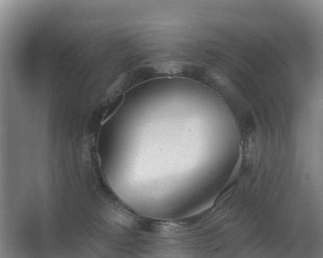 X0000062640229200512281629