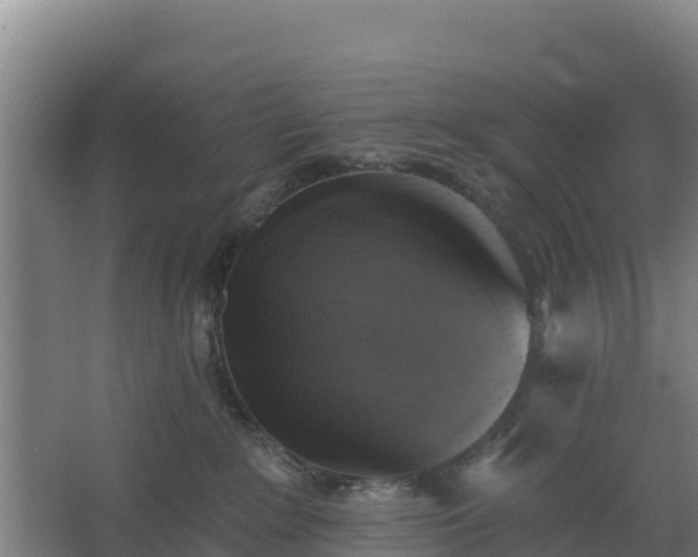 X0000062640235200512281629