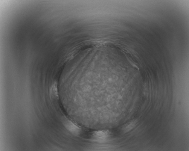 X0000062640238200512281629