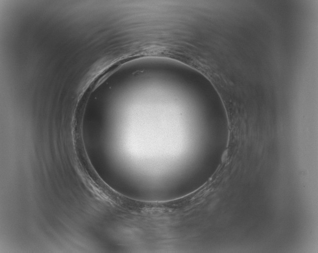 X0000062640242200512281628