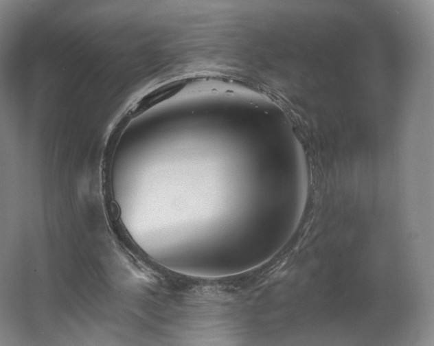 X0000062640244200512281628
