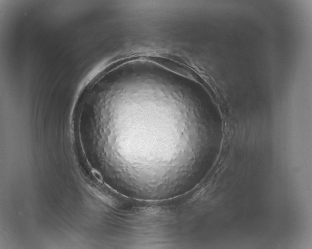 X0000062640246200512281628