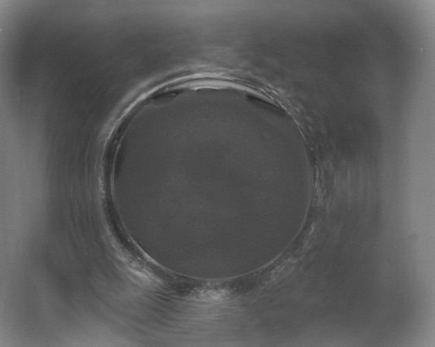 X0000062640247200512281628
