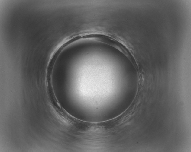 X0000062640248200512281628