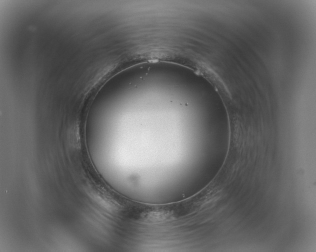 X0000062640251200512281629