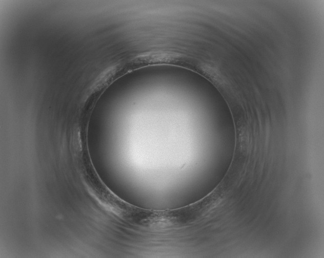X0000062640254200512281629