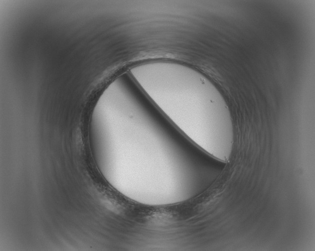 X0000062640256200512281629