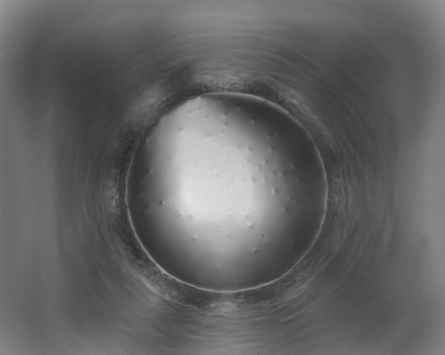 X0000062640259200512281629