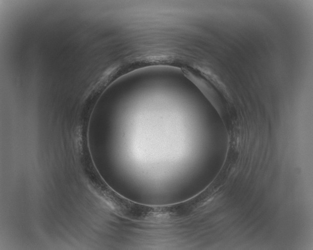 X0000062640260200512281629