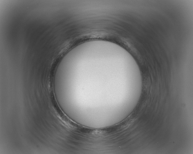 X0000062640261200512281629