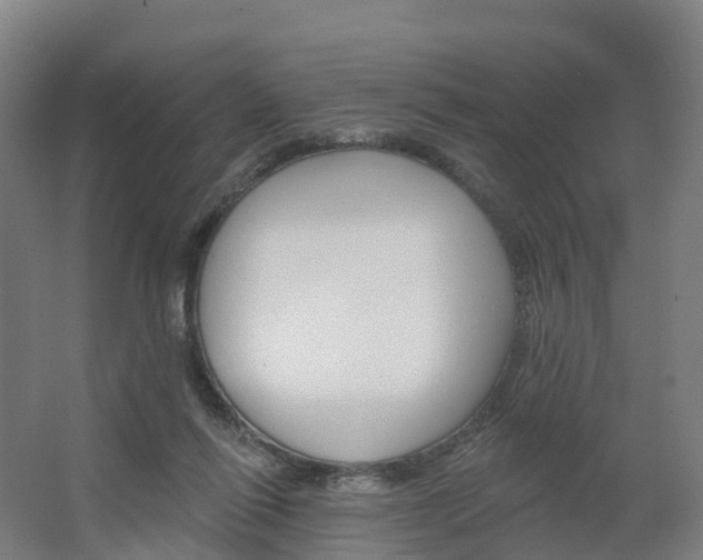 X0000062640262200512281629