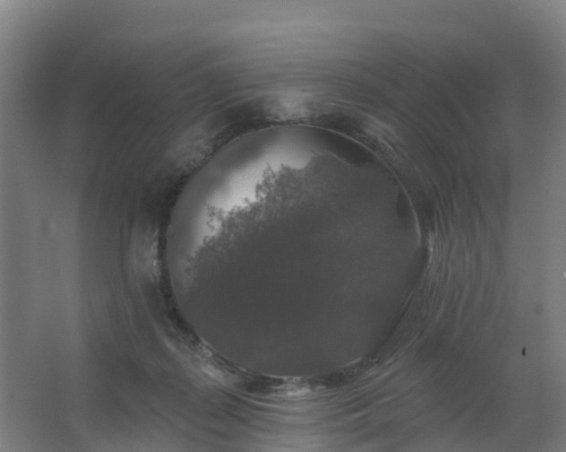 X0000062640267200512281629