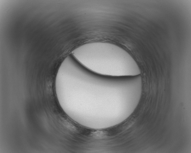 X0000062640269200512281629