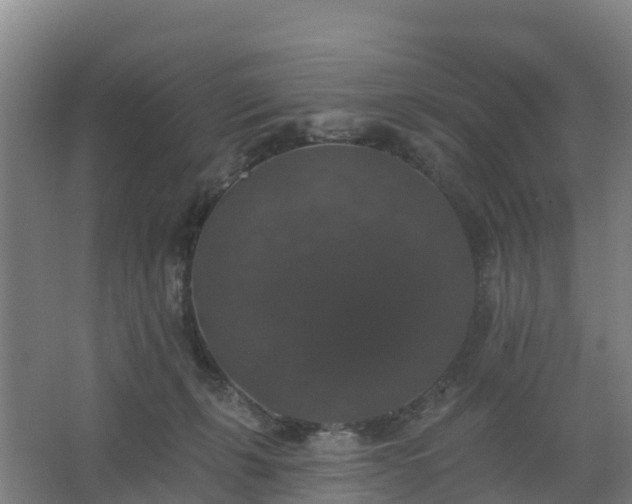 X0000062640271200512281629