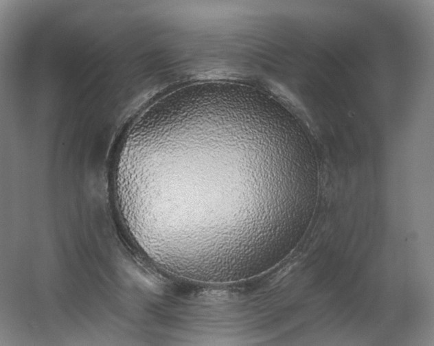 X0000062640298200512281628