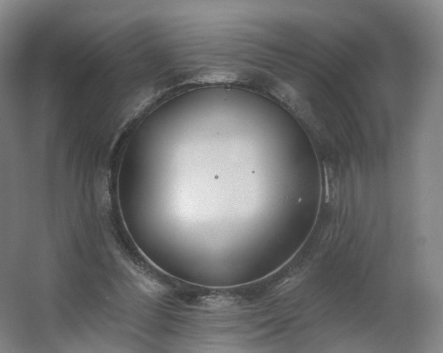 X0000062640300200512281628