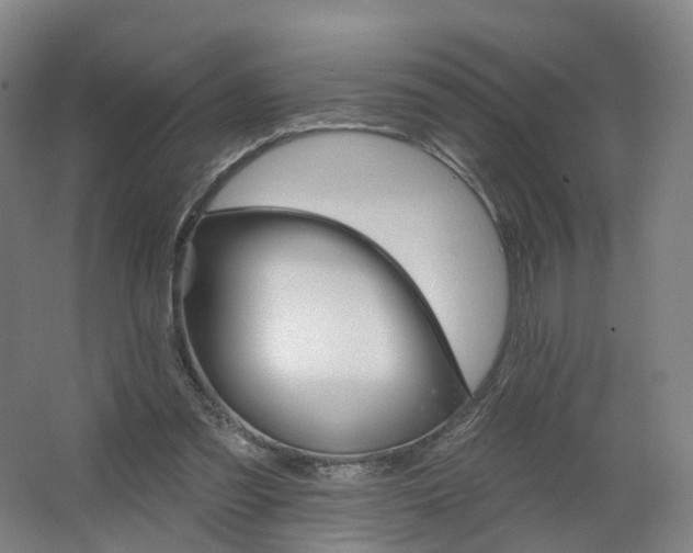 X0000062640301200512281628