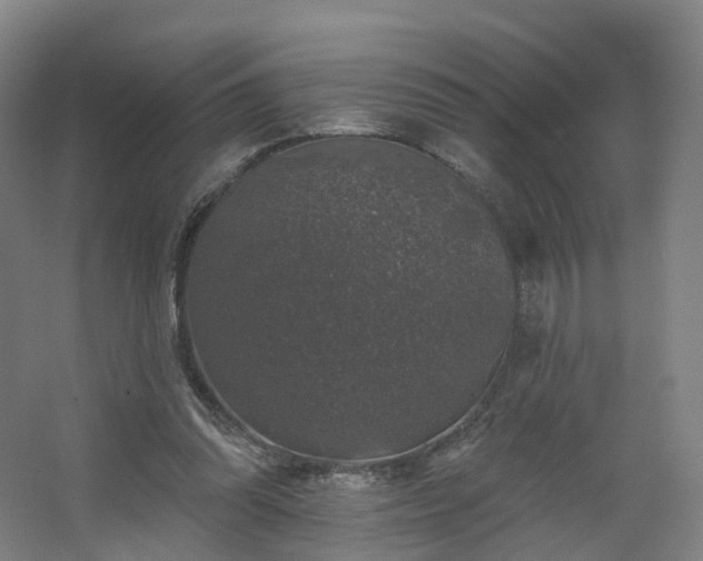 X0000062640302200512281628