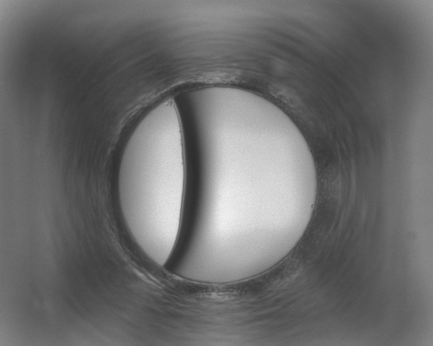 X0000062640303200512281628