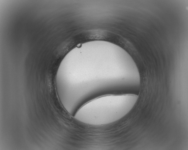 X0000062640312200512281628