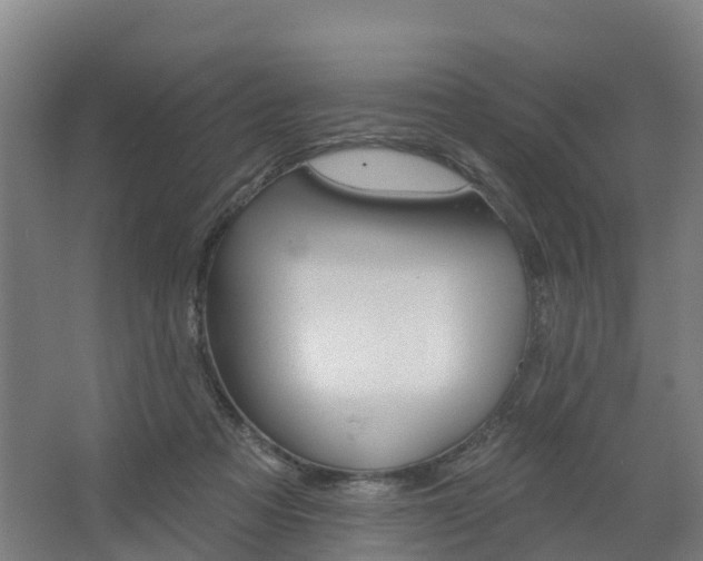 X0000062640313200512281628