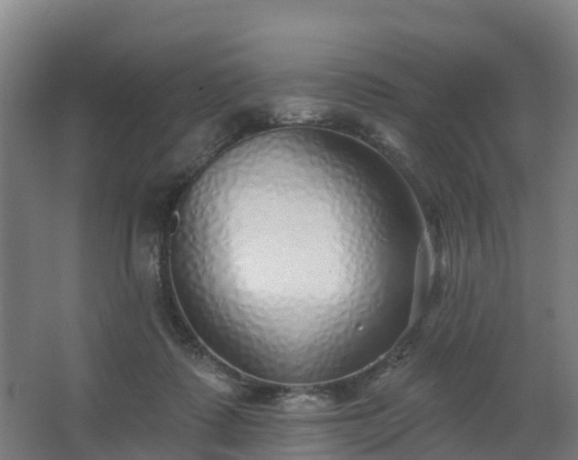 X0000062640315200512281628