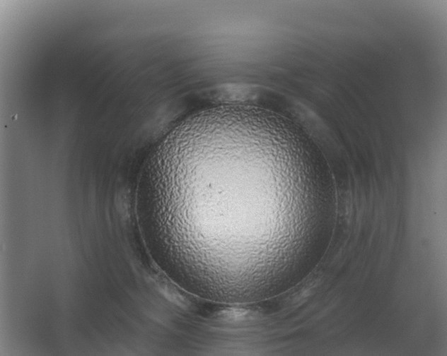X0000062640326200512281628