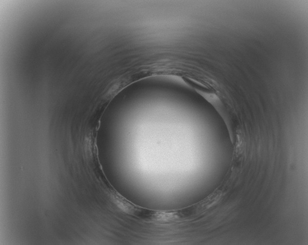 X0000062640333200512281628