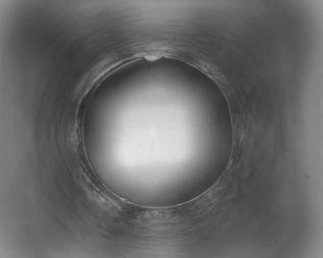 X0000062640338200512281627