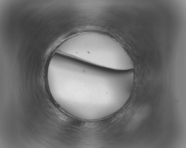 X0000062640341200512281627