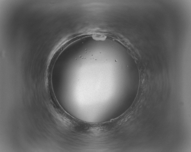 X0000062640344200512281627