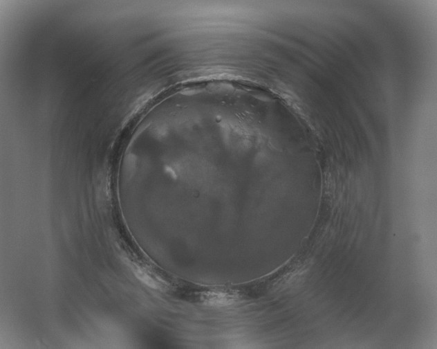 X0000062640347200512281627