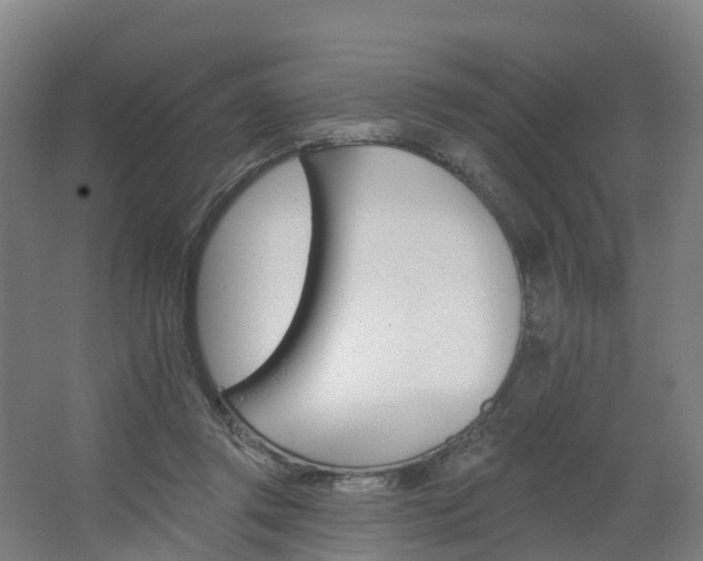 X0000062640357200512281627