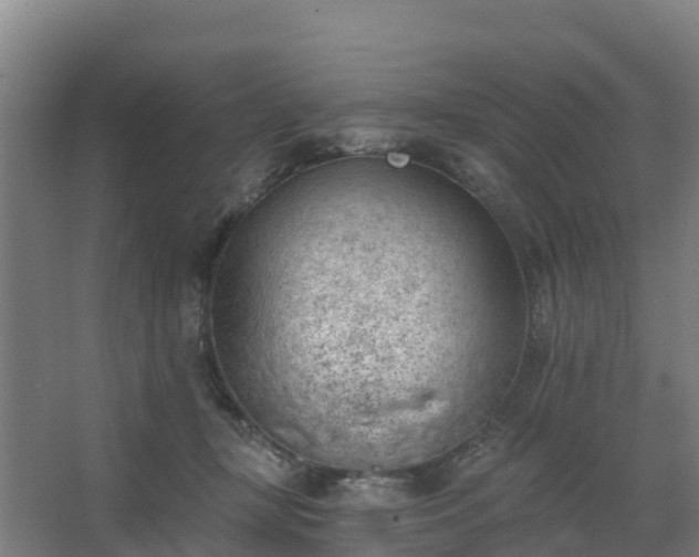 X0000062640367200512281627