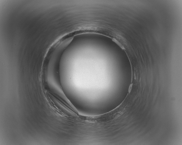X0000062640388200512281627