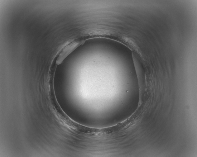 X0000062640395200512281627