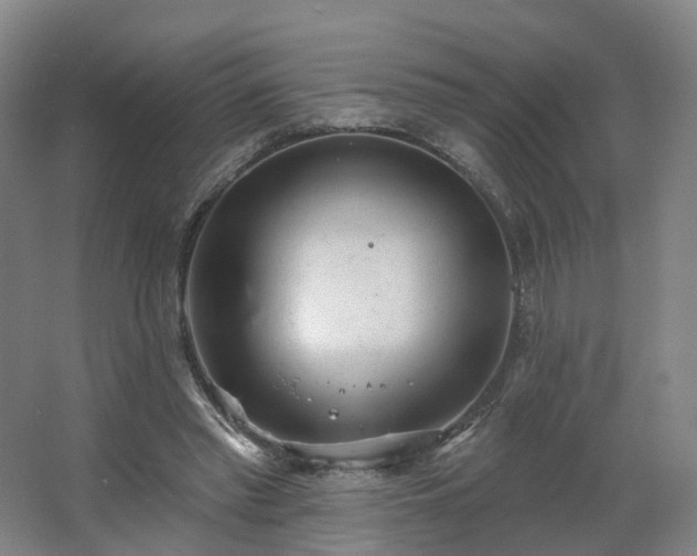 X0000062640397200512281626