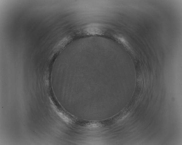 X0000062640402200512281626